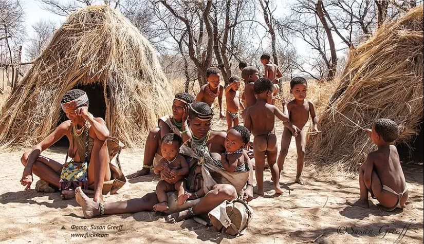 Hottentots are the most mysterious people of the Black Continent Hottentots are the most mysterious people of the Black Continent
