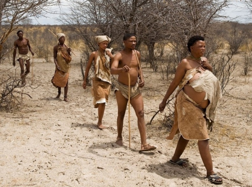 Hottentots are the most mysterious people of the Black Continent Hottentots are the most mysterious people of the Black Continent