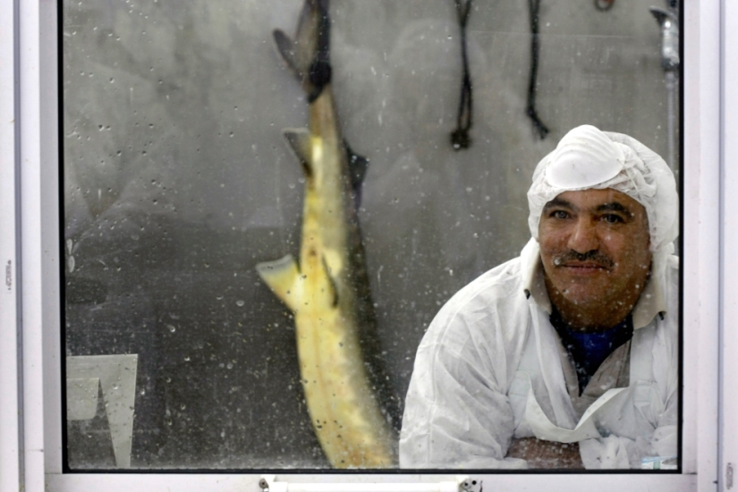 How black caviar is produced in Israel