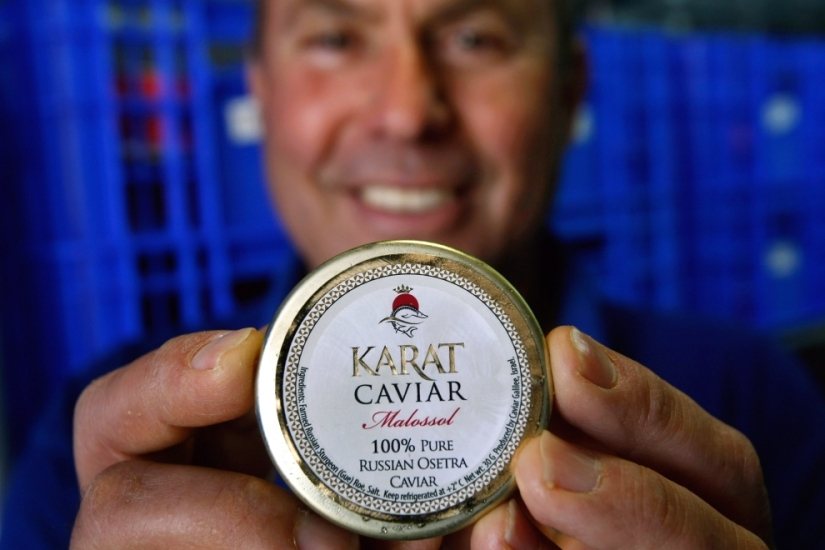 How black caviar is produced in Israel