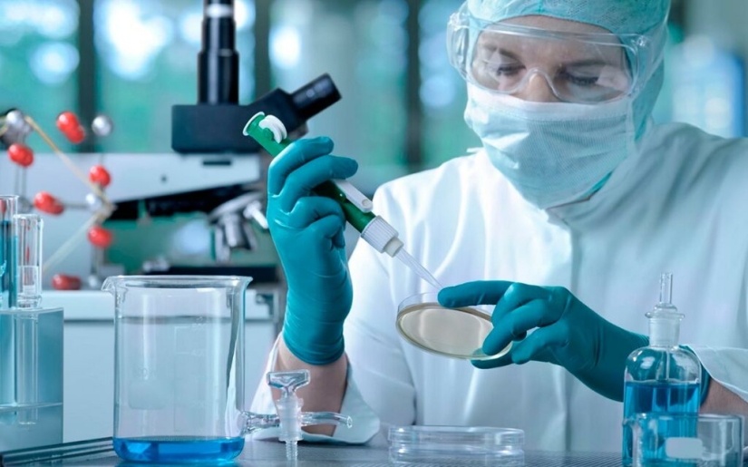 How Caries Took Over the World How Caries Took Over the World