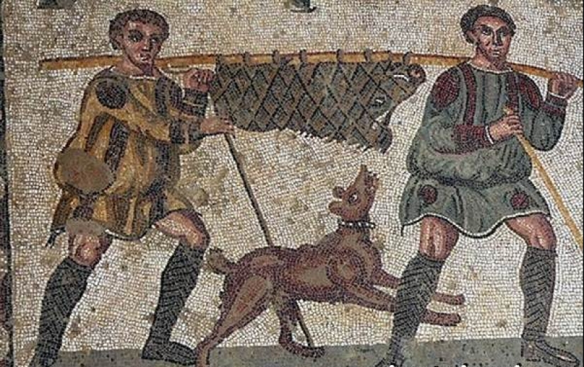 How did a man manage to tame a wolf and turn it into a dog