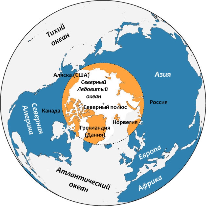 How did the Arctic and Antarctic get their names?