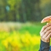 How did the fly agaric get its name and does it actually kill flies? How did the fly agaric get its name and does it actually kill flies?