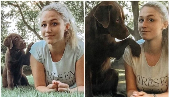 How fast they grow: 30 photos with dogs in the style of "then and now"