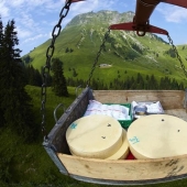 How is Swiss cheese made? How is Swiss cheese made?