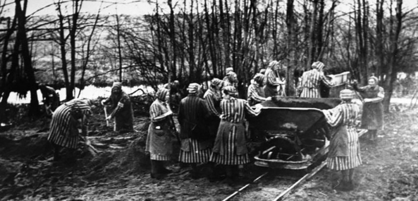 How ordinary German housewives became executioners at the Ravensbrück concentration camp How ordinary German housewives became executioners at the Ravensbrück concentration camp