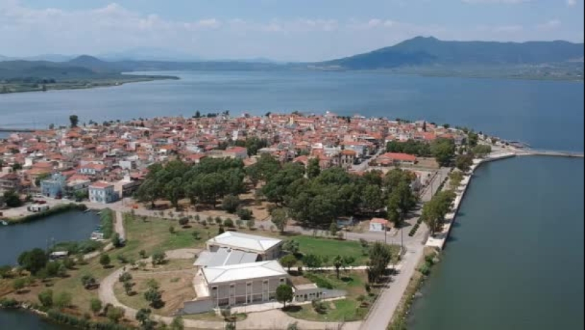 How spiders turn the paradise island of Aitoliko into a horror movie set