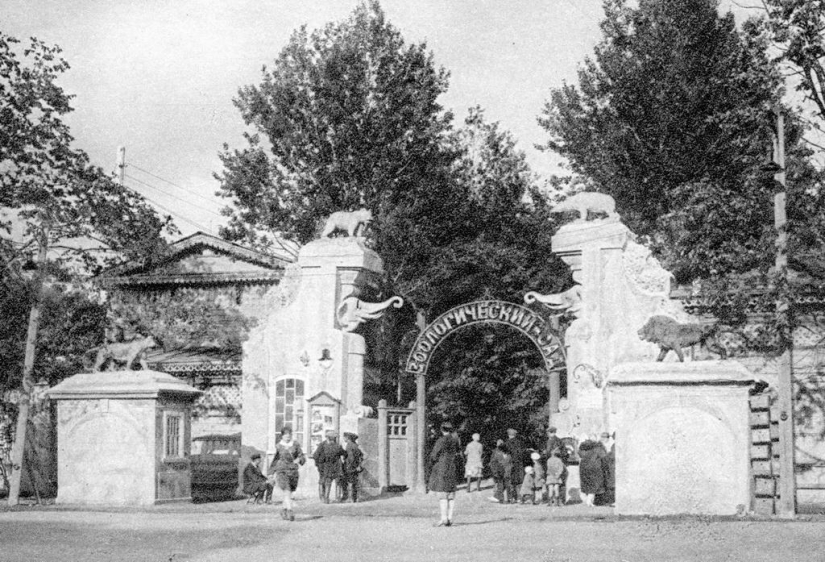 How the Leningrad Zoo survived the blockade