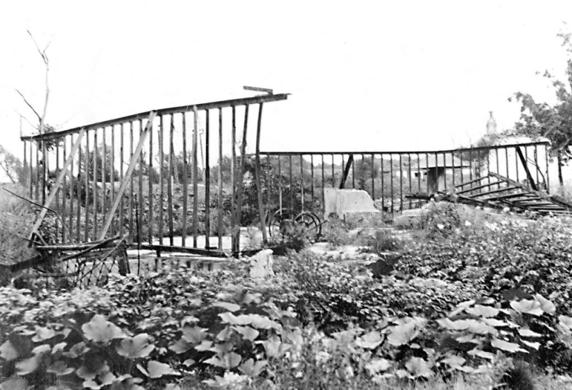 How the Leningrad Zoo survived the blockade