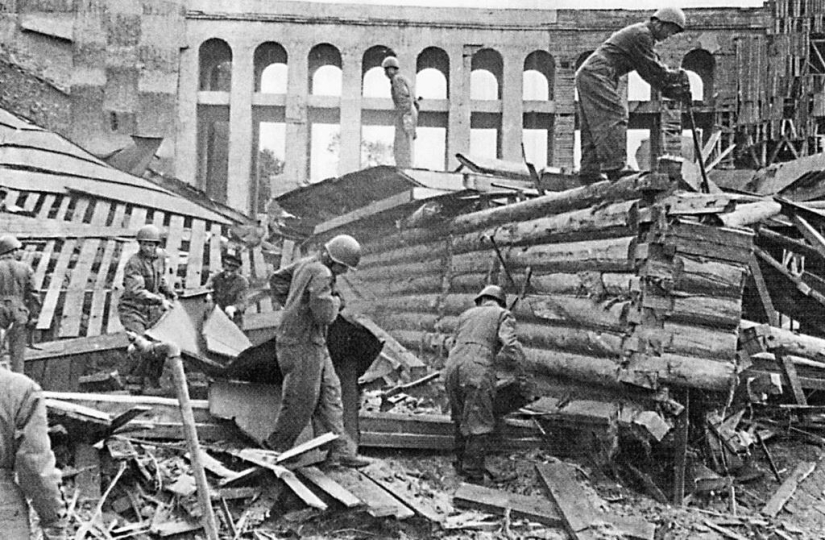 How the Leningrad Zoo survived the blockade