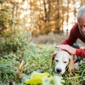 How the phrase "A dog is a man's best friend" came about How the phrase "A dog is a man's best friend" came about