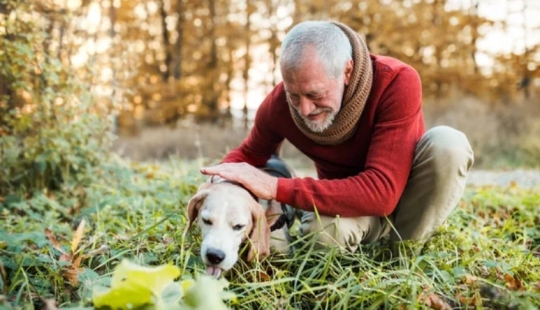 How the phrase "A dog is a man's best friend" came about How the phrase "A dog is a man's best friend" came about