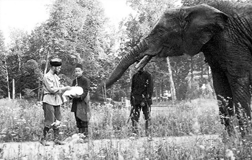How the Romanov family lived their last days before their tragic execution