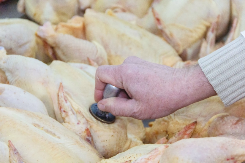 How to choose meat at the market and in stores. Advice from a real butcher