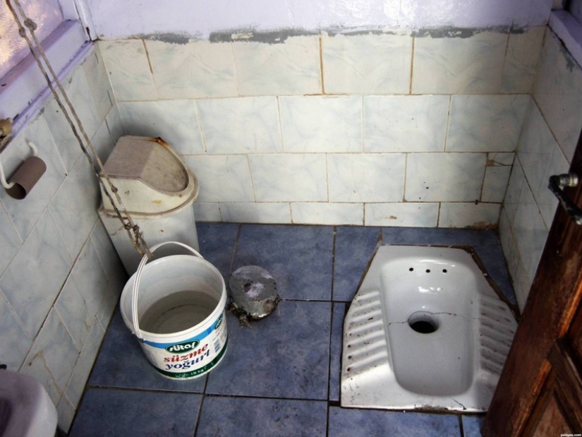 How to go to the toilet in different countries of the world How to go to the toilet in different countries of the world