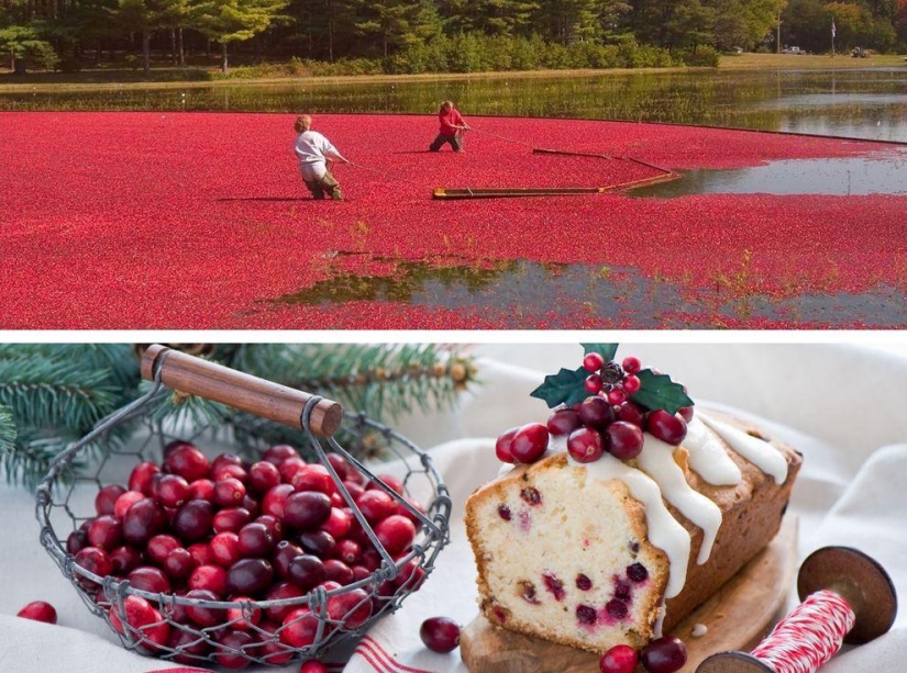 How to grow some fruit and vegetables: an unusual facts about the usual products