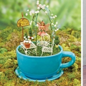 How to make a garden in a teacup: 25 creative ideas How to make a garden in a teacup: 25 creative ideas