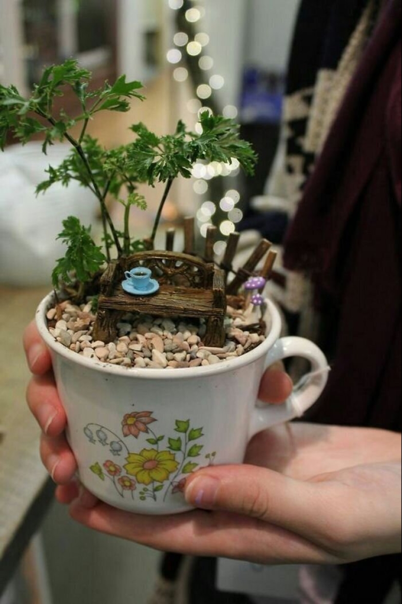 How to make a garden in a teacup: 25 creative ideas