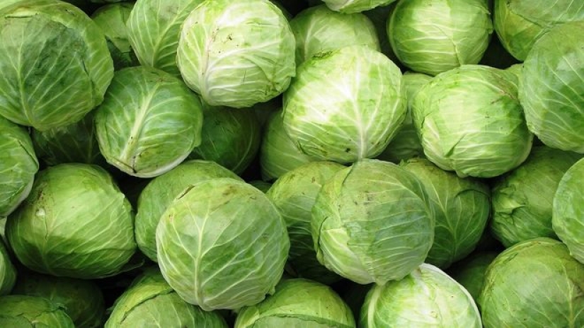 How to properly pickle cabbage: 8 mistakes that 90 percent of people make How to properly pickle cabbage: 8 mistakes that 90 percent of people make