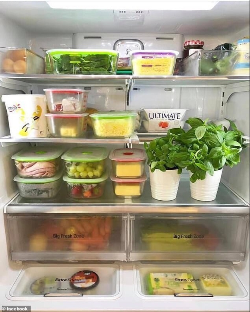 How to put things in the fridge is immaculate: the secrets of experienced Housewives