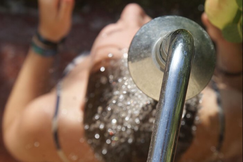 How to save the planet: 20 simple things anyone can do