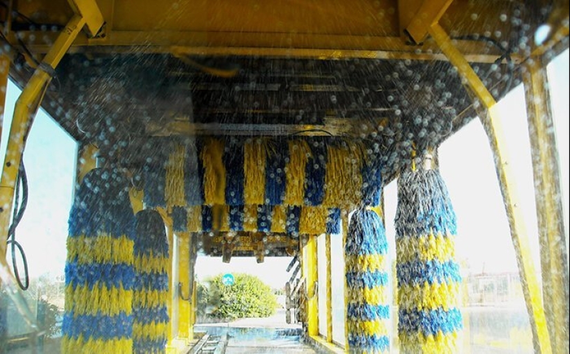 How to save the planet: 20 simple things anyone can do