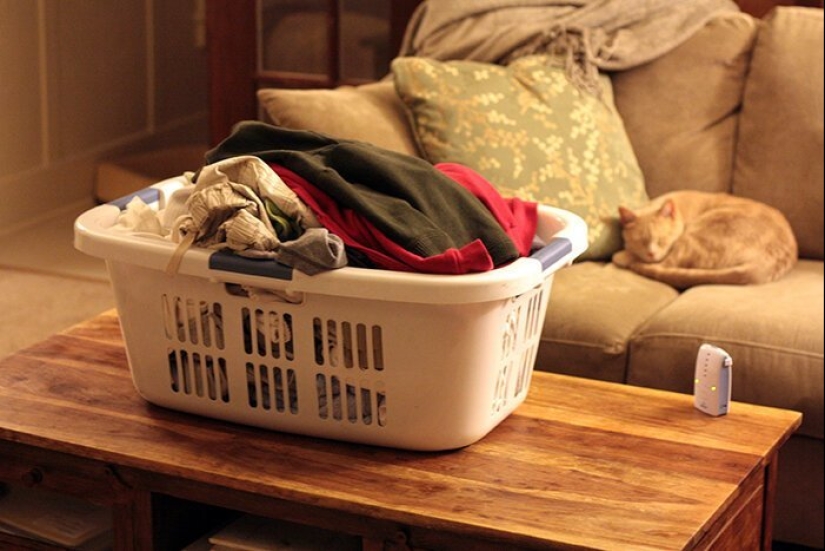 How to save the planet: 20 simple things anyone can do