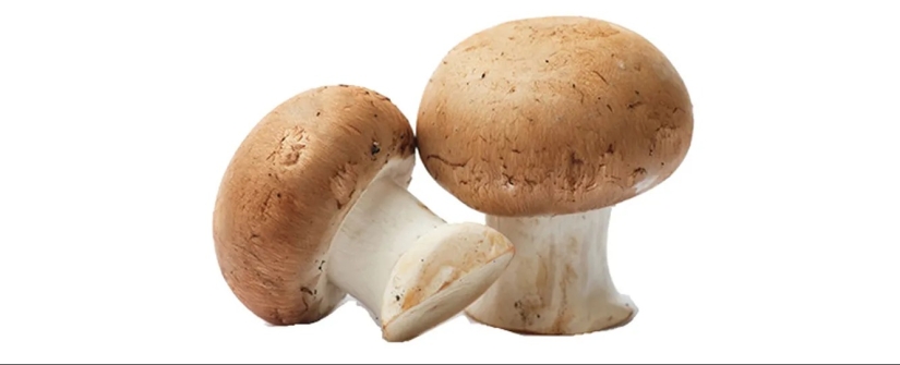 How to turn Olivier into a masterpiece: 6 secret ingredients