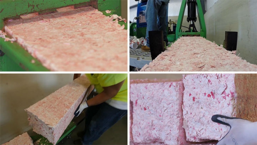 How used disposable tableware turns into park benches How used disposable tableware turns into park benches