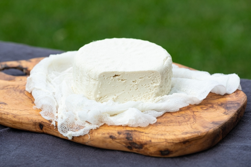 How vegan cheese was invented, what it's made from, and whether this product can replace dairy alternatives