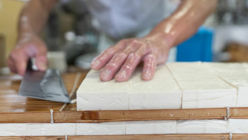 How vegan cheese was invented, what it's made from, and whether this product can replace dairy alternatives