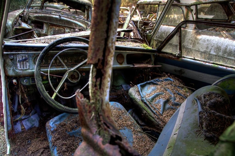 Huge traffic jam in the Belgian forest