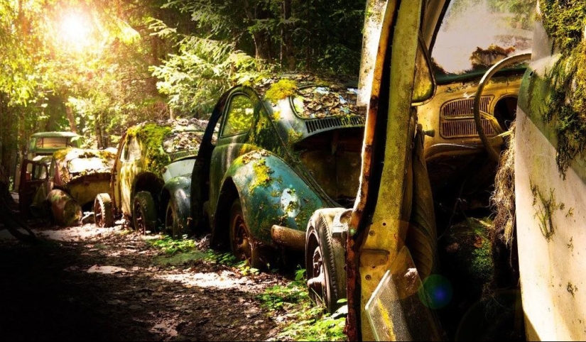 Huge traffic jam in the Belgian forest