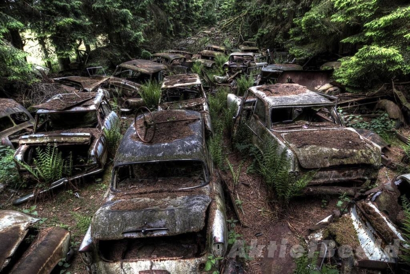 Huge traffic jam in the Belgian forest