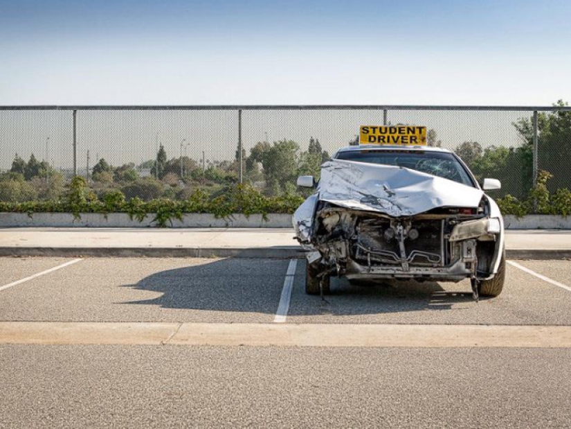 Humor absurdo: 15 ingenioso fotos de David Hare Humor absurdo: 15 ingenioso fotos de David Hare