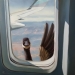 Humorous Animal Paintings By Lucia Heffernan Humorous Animal Paintings By Lucia Heffernan