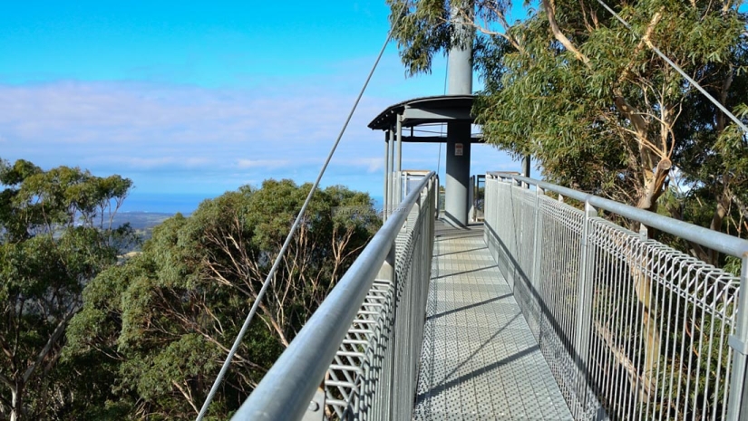 I can see everything from above: what are the viewing platforms