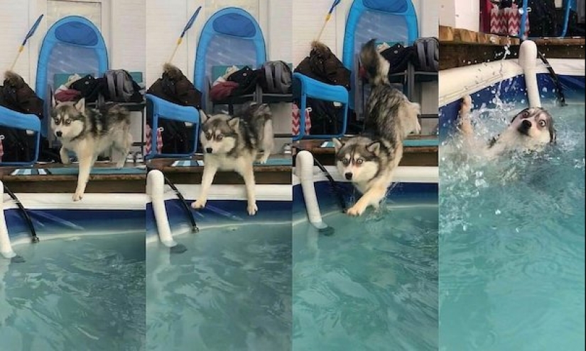I did and immediately regretted: 17 photos and GIFs that will cheer you up I did and immediately regretted: 17 photos and GIFs that will cheer you up