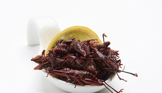 I don't eat it! 10 shocking dishes from around the world