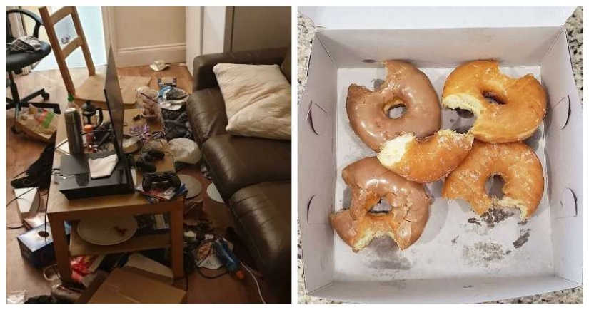 "I live with a monster!" 35 photos of complete chaos from the kings of the mess