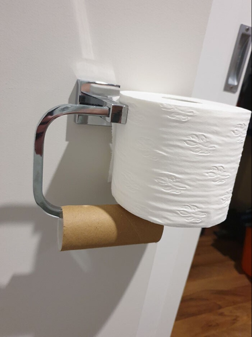 "I live with a monster!" 35 photos of complete chaos from the kings of the mess