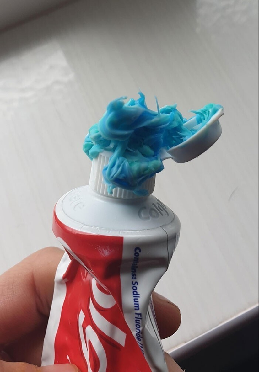 "I live with a monster!" 35 photos of complete chaos from the kings of the mess