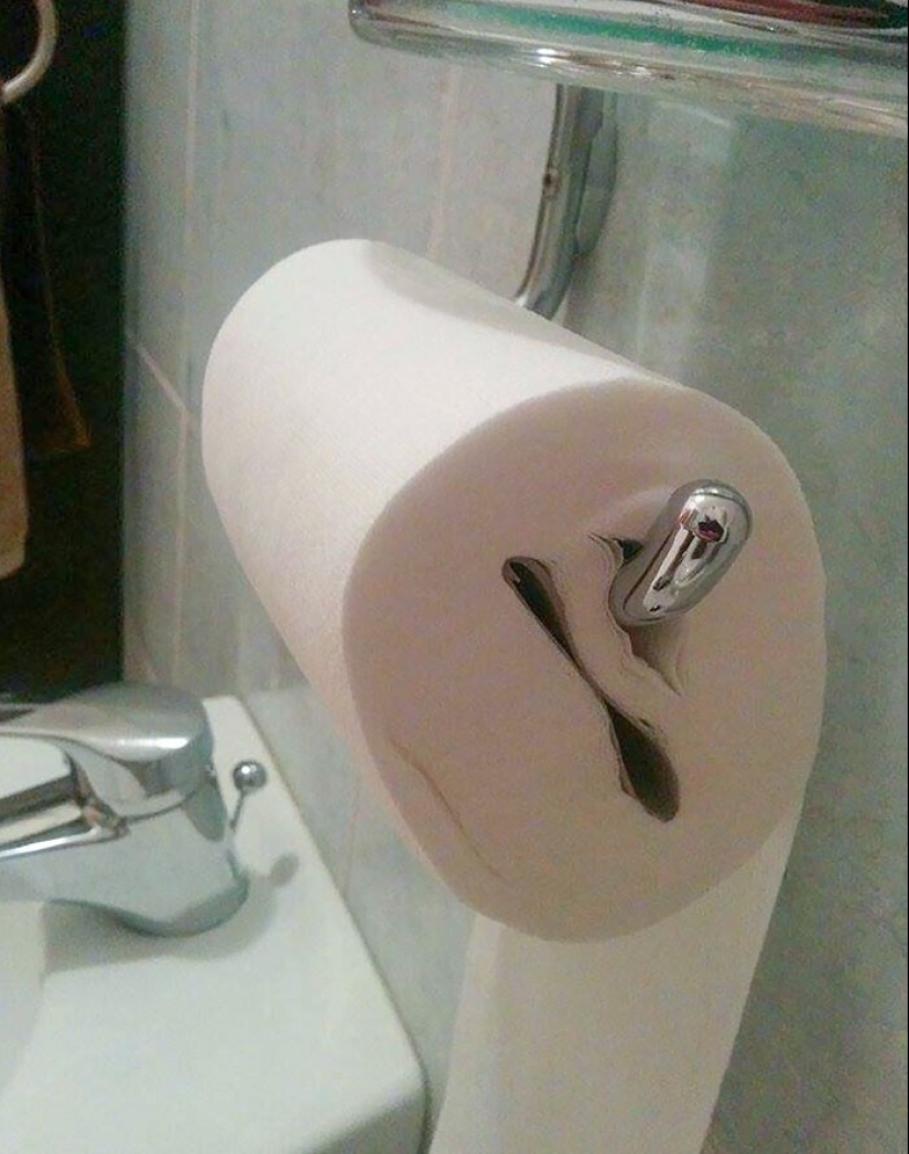 "I live with a monster!" 35 photos of complete chaos from the kings of the mess