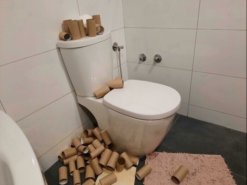 "I live with a monster!" 35 photos of complete chaos from the kings of the mess