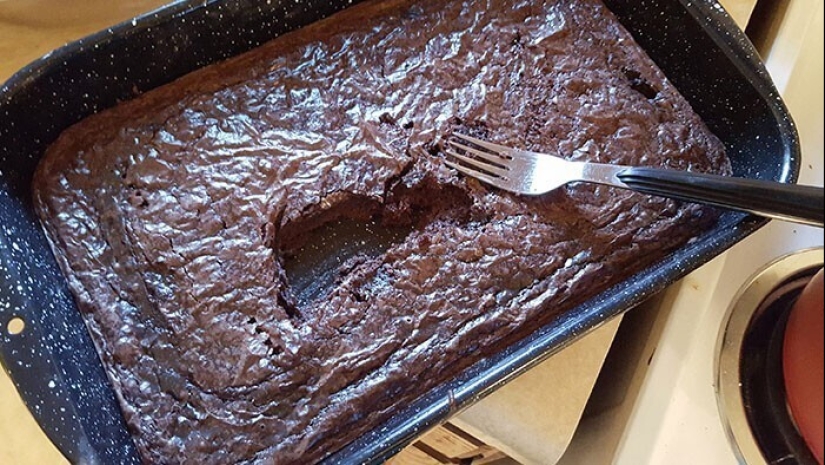 "I live with a monster!" 35 photos of complete chaos from the kings of the mess