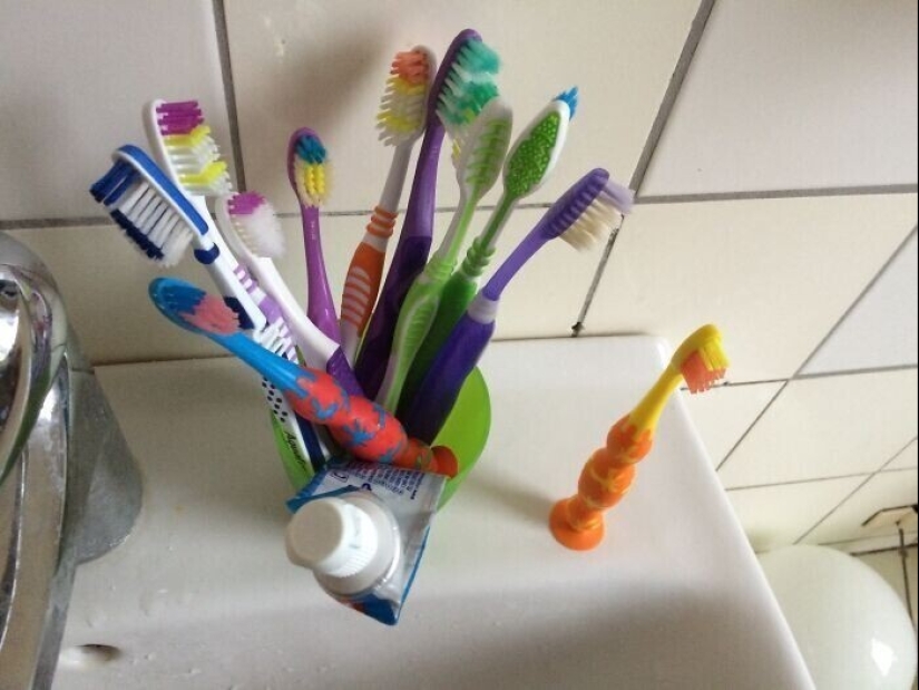 "I live with a monster!" 35 photos of complete chaos from the kings of the mess