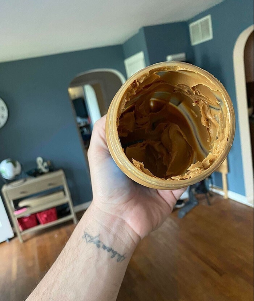 "I live with a monster!" 35 photos of complete chaos from the kings of the mess