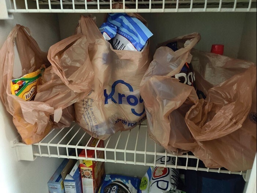 "I live with a monster!" 35 photos of complete chaos from the kings of the mess