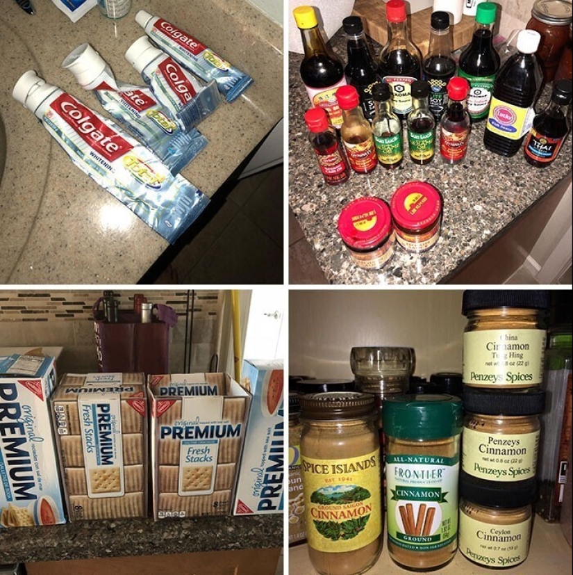"I live with a monster!" 35 photos of complete chaos from the kings of the mess